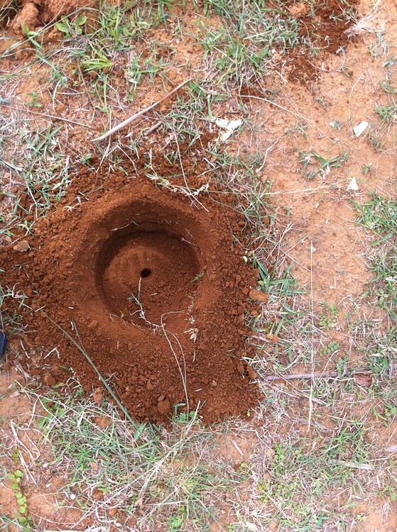 Drilling experiences and findings with Augur - Farm Questions ...