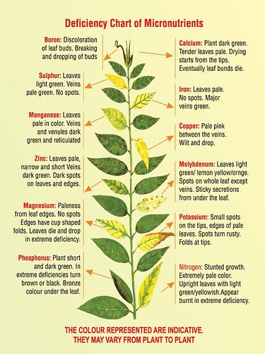 Mineral Deficiency Chart
