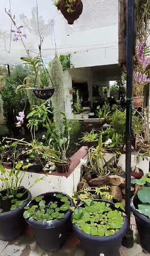 Screenshot 2025-12-30 at 1.12.56 PM