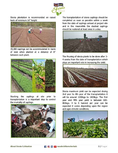 About Stevia Cultivation_page-0003