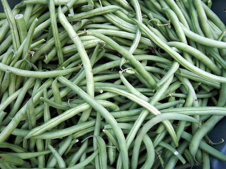 French Beans Cultivation Guide - Farm Guides - FarmNest India Farm ...