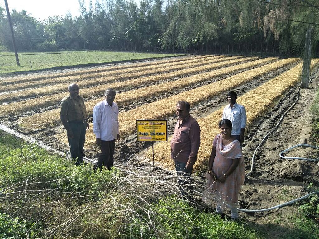 Rice nursery for machine planting Farm Questions FarmNest India