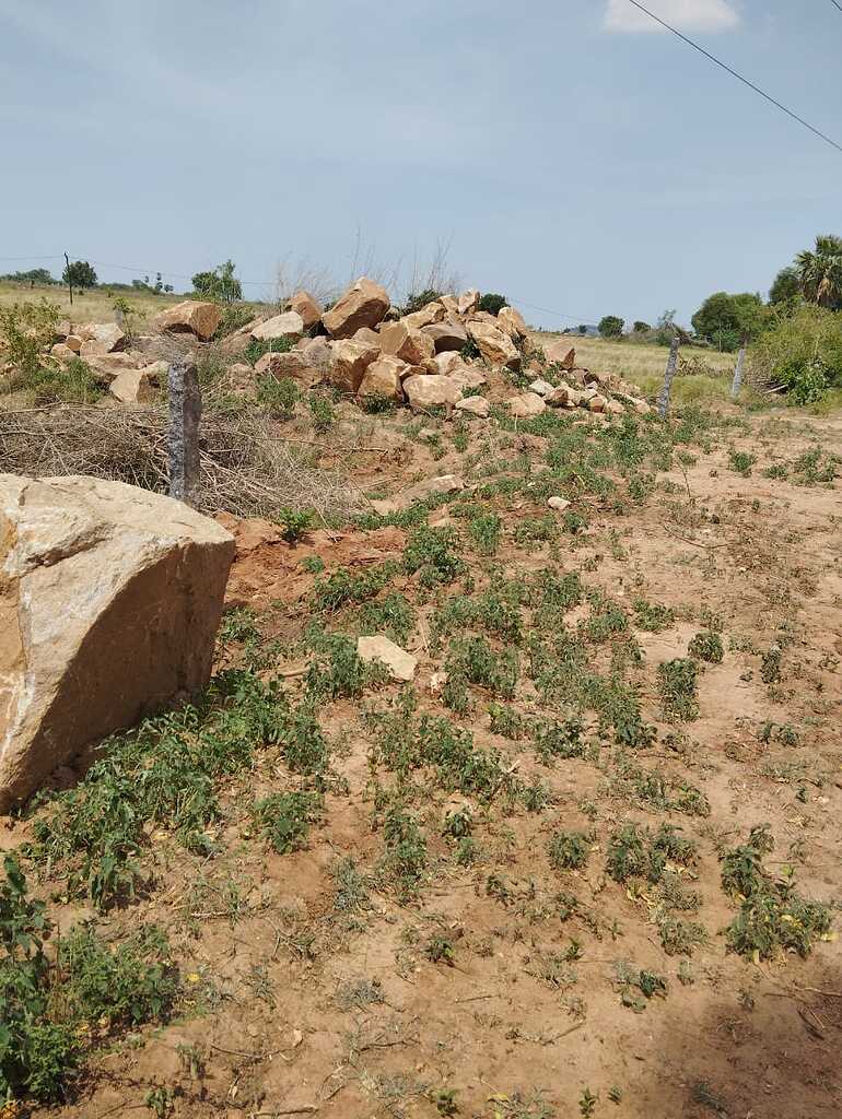 Farm With Rocks Utilising big rocks in the farm for fence/construction - Farm Questions ...