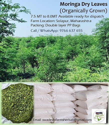 Moringa_Dry_Leaves