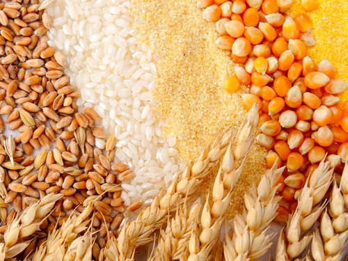 export-from-ukraine-and-russia-agricultural-products-500x500